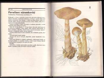 Mirko Svrček: Houby