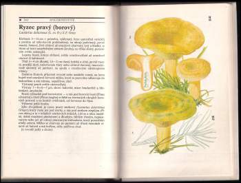 Mirko Svrček: Houby