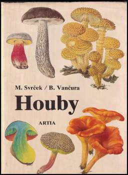 Houby