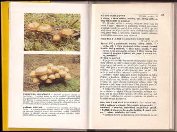 Jiří Baier: Houby v kuchyních světa