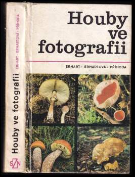 Houby ve fotografii