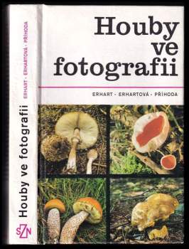 Houby ve fotografii