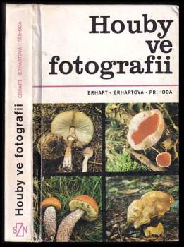 Houby ve fotografii