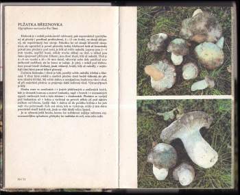 Josef Erhart: Houby ve fotografii