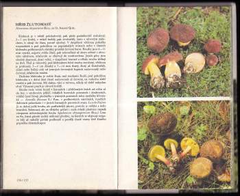 Josef Erhart: Houby ve fotografii