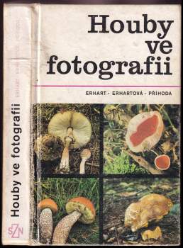 Houby ve fotografii