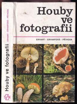 Houby ve fotografii