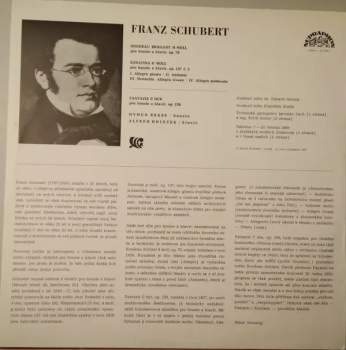 Franz Schubert: Houslové Skladby