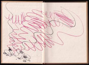 Petr Šabach: Hovno hoří