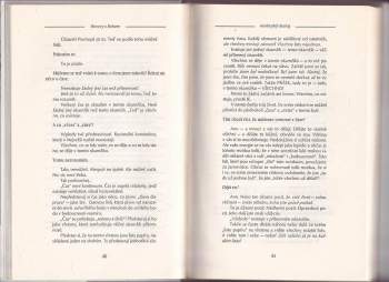 Neale Donald Walsch: Hovory s Bohem