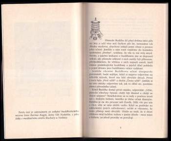 Ole Nydahl: Hovory s lamou Ole Nydahlem
