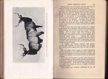 J. Morewood Dowsett: How Animals Live