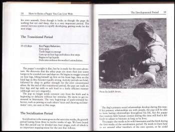 Clarice Rutherford: How to Raise a Puppy You Can Live With