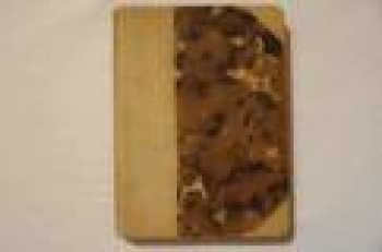 Alexandre Dumas: Hraběnka de Charny