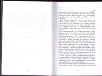 Sylva Lauerová: Hračka