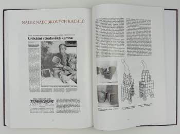 Jiří Tichánek: Hrad a panství Šostýn