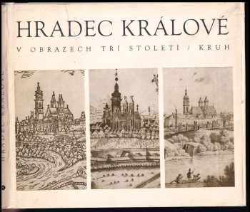Aleš Doubrava: Hradec Králové v obrazech tří století