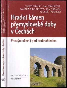 Hradní kámen přemyslovské doby v Čechách