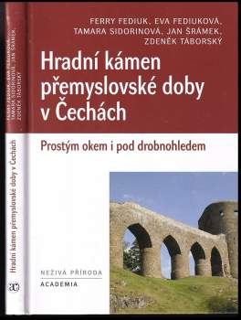 Hradní kámen přemyslovské doby v Čechách