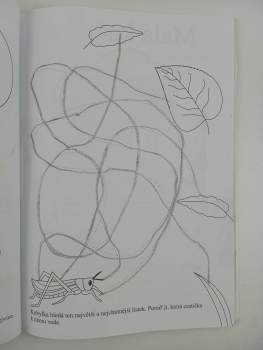 Alena Nevěčná: Hrajeme si a cvičíme s dětmi