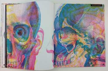 Kate Davies: Hravá anatomie