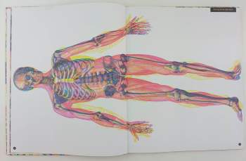 Kate Davies: Hravá anatomie