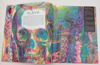 Kate Davies: Hravá anatomie