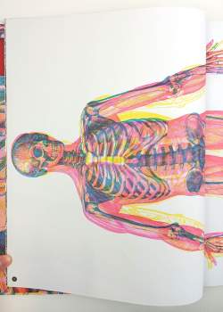 Kate Davies: Hravá anatomie