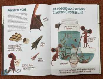 Tereza Vostradovská: Hravouka