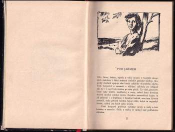 Eduard Štorch: Hrdina Nik