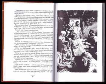 Eduard Štorch: Hrdina Nik