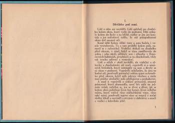 Eva Marešová: Hrdinka Anička