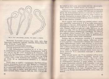 Zdeněk Urban: Hrdze a sneti v Temnosmreči novej doline vo Vysokých Tatrách