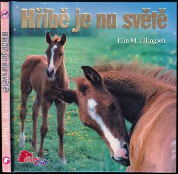 Hříbě je na světě