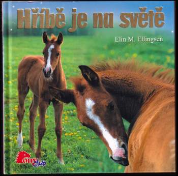 Elin M Ellingsen: Hříbě je na světě