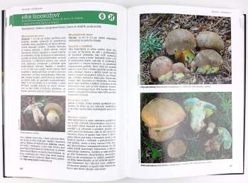 Michal Mikšík: Hřibovité houby Evropy