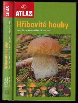 Hřibovité houby
