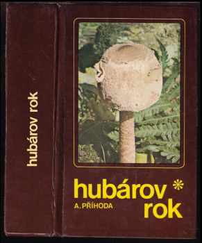 Hubárov rok