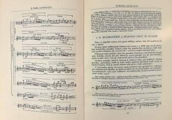 Karel Janeček: Hudební formy