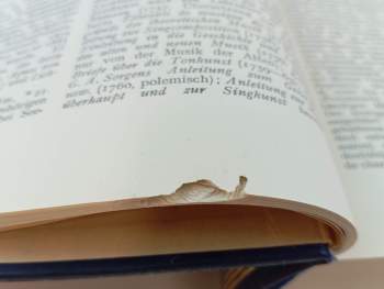 Alfred Einstein: Hugo Riemanns Musiklexikon