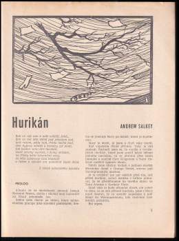 Václav Šolc: Hurikán, Synové kondorů