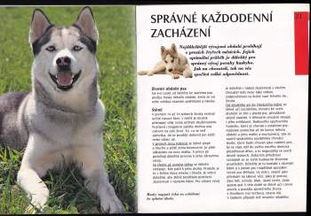 Katharina Schlegl-Kofler: Husky