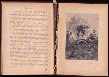 Jules Verne: Hvězda jihu