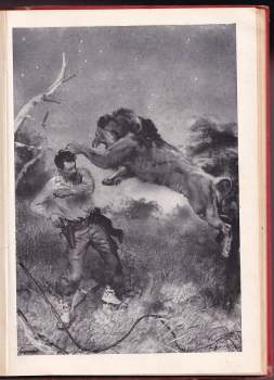 Jules Verne: Hvězda jihu