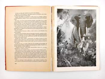 Jules Verne: Hvězda jihu