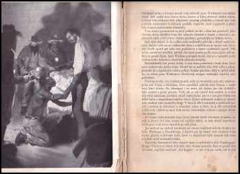 Jules Verne: Hvězda jihu