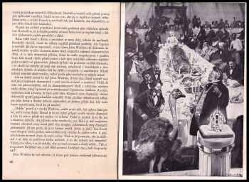 Jules Verne: Hvězda jihu