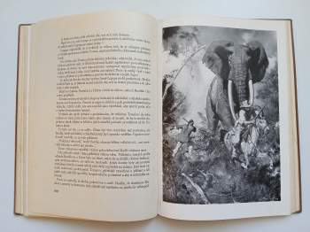 Jules Verne: Hvězda jihu