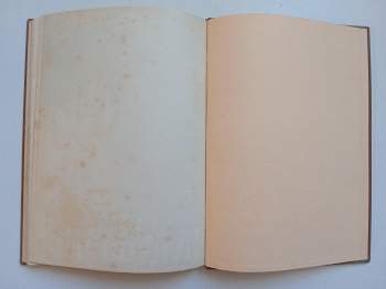 Jules Verne: Hvězda jihu