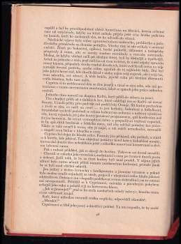Jules Verne: Hvězda jihu